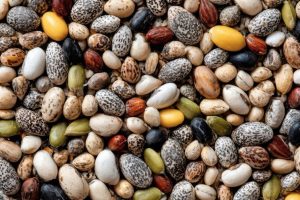 Semillas de marihuana a granel: guía de compra para ahorrar sin perder calidad